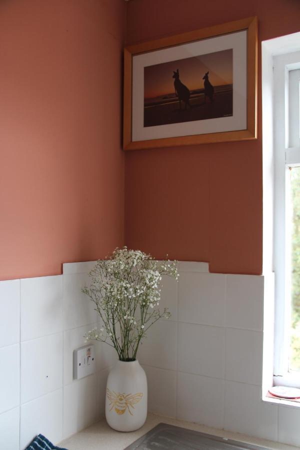 Beautiful Apartment In Guildford With Parking Send Bagian luar foto