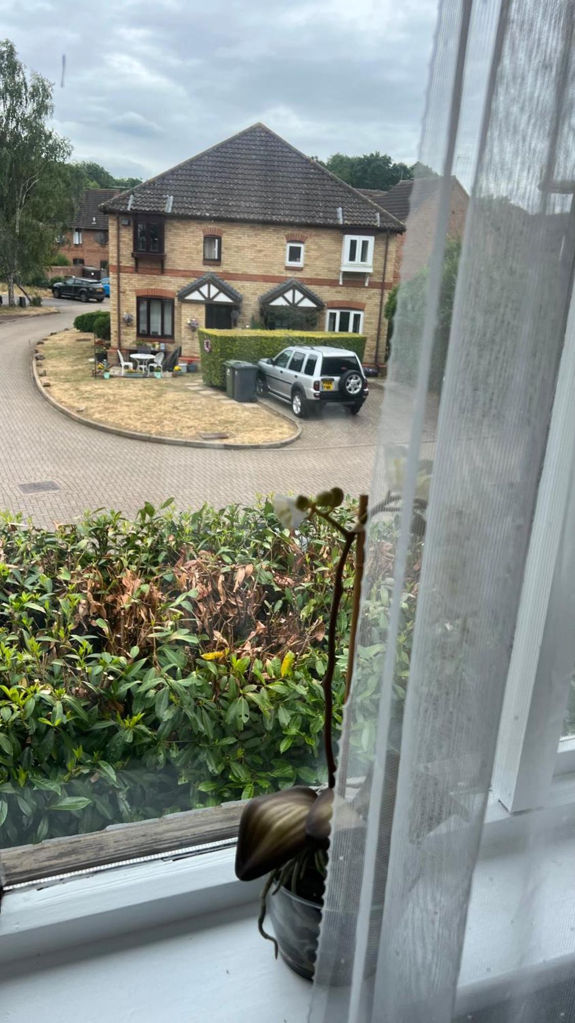 Beautiful Apartment In Guildford With Parking Send Bagian luar foto